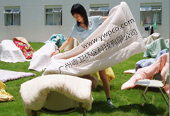 廣州螨蟲(chóng)專業(yè)滅治公司