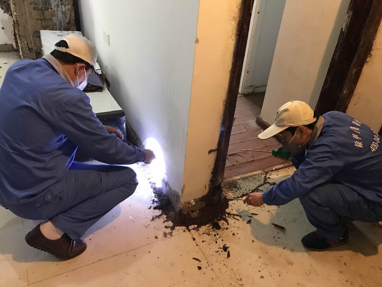 廣州白蟻預防公司